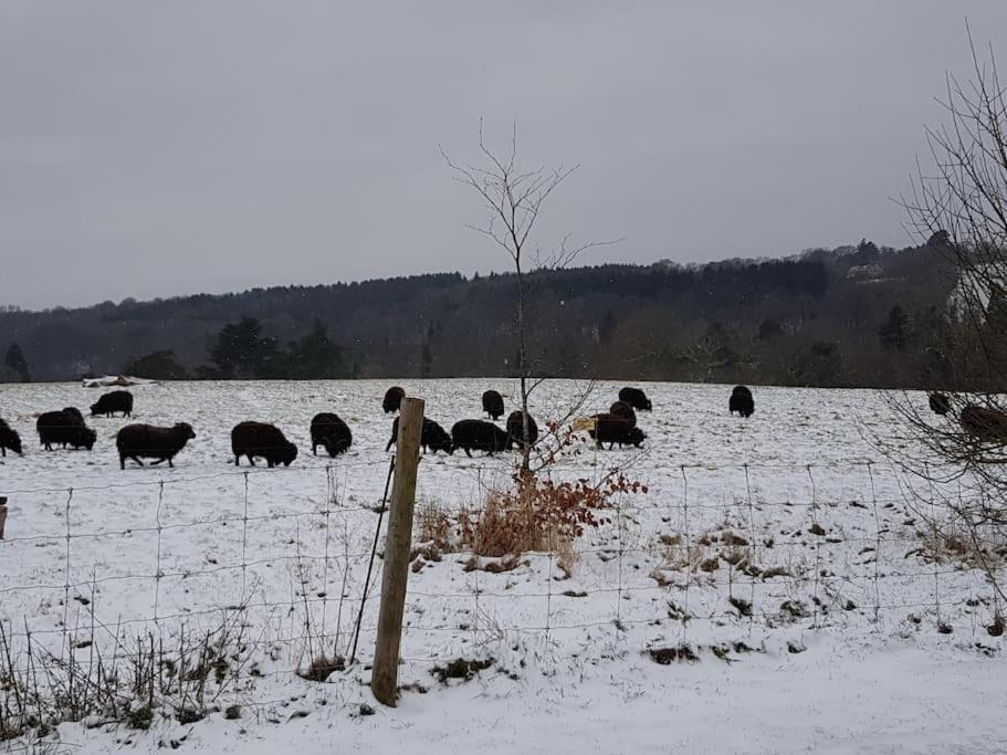 No 2 Close To Wakehurst And Kew Seed Bank アーディングリー エクステリア 写真